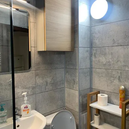 Garsoniera Gabriel Appartement *