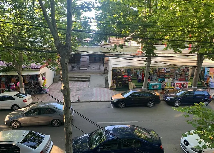 Garsoniera Gabriel 아파트 *