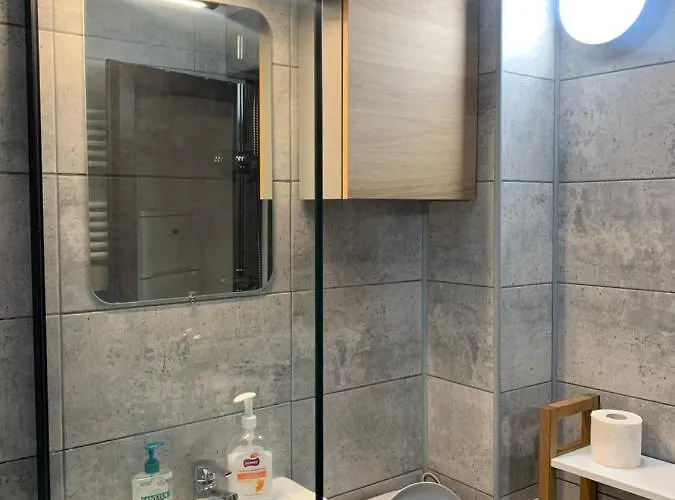 아파트 Garsoniera Gabriel 데포리노드