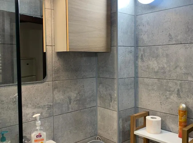 Garsoniera Gabriel 아파트 *