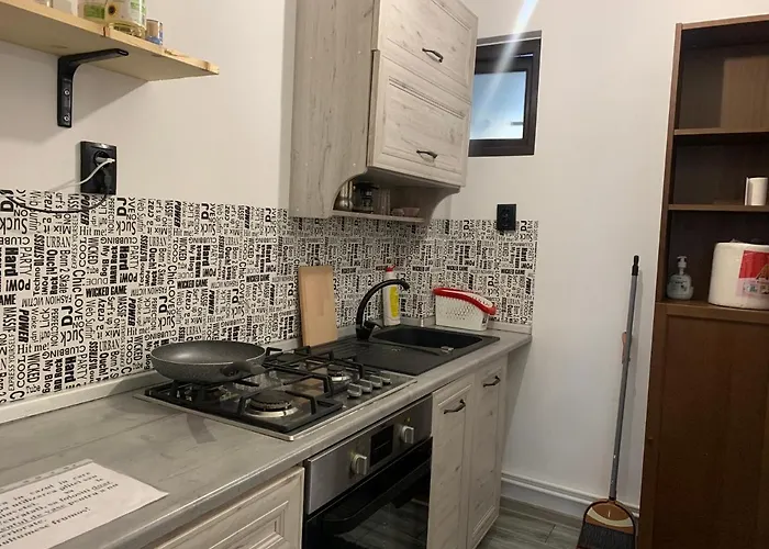 아파트 Garsoniera Gabriel