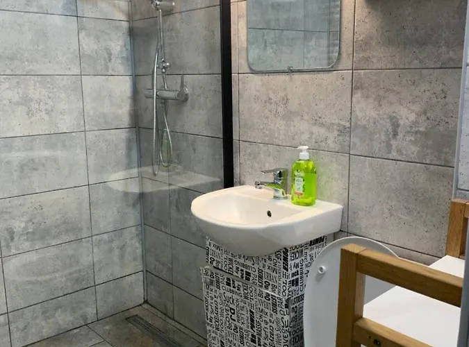 Garsoniera Gabriel 아파트 데포리노드