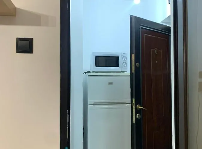 Garsoniera Gabriel 아파트 *