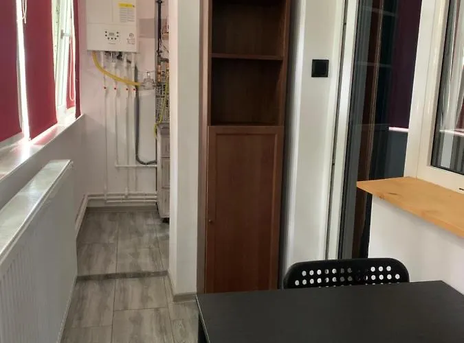 Garsoniera Gabriel 아파트 *